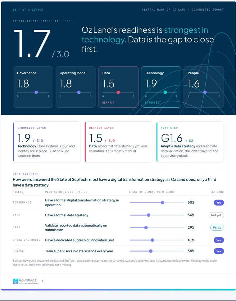 Diagnostic report, At a glance page